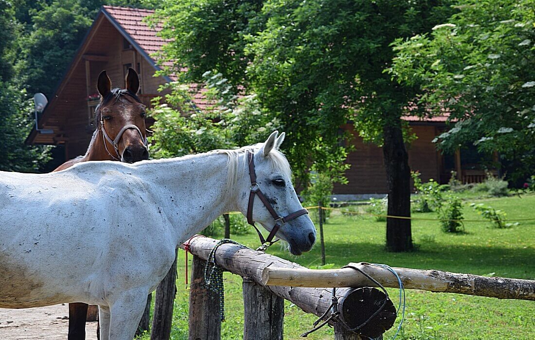Pet-friendly accommodation in nature, Inland Croatia